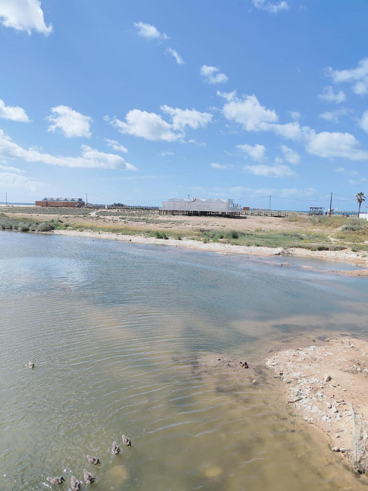 Bayline- Beachfront And Pool Armação de Pêra Buitenkant foto